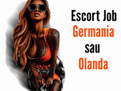 Job in Germania sau Olanda, colaborari serioase, venituri atractive ❤️