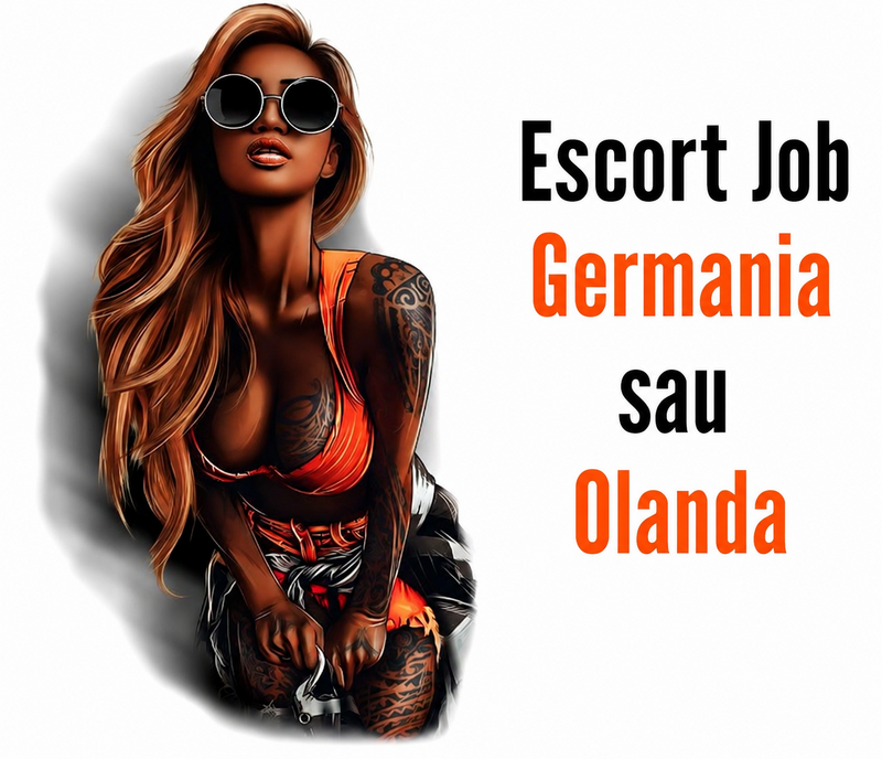 Job in Germania sau Olanda, colaborari serioase, venituri atractive,